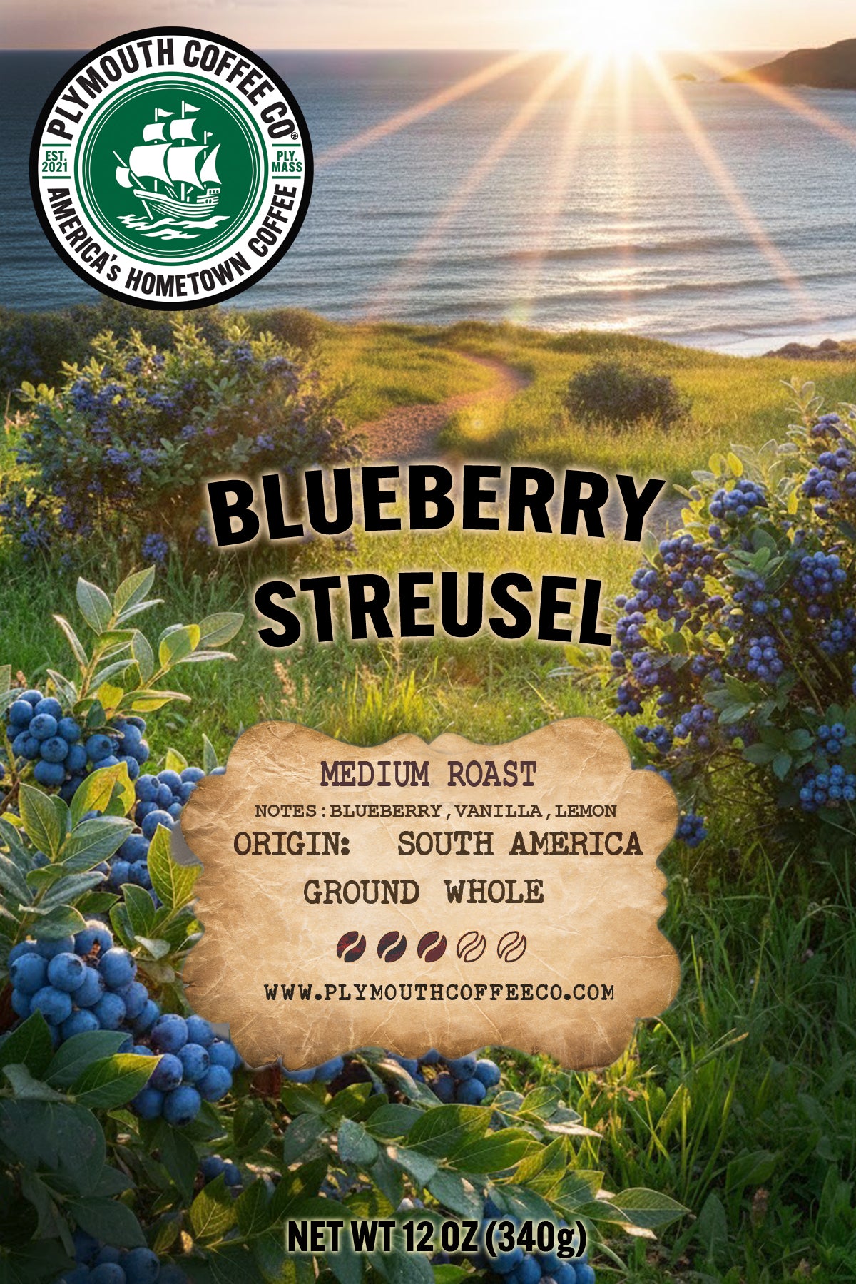 Blueberry Streusel | Wholebean